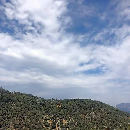 Benarraba Hostel *