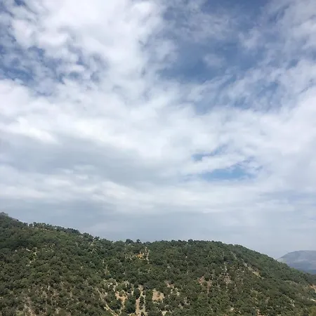 Benarraba Hostel بيت شباب
